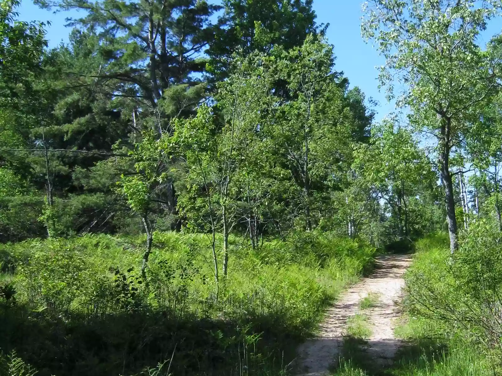 Elkwood Campground