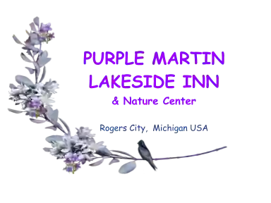 Purple Martin Lakeside Inn & Bird Sanctuary on Lake Huron