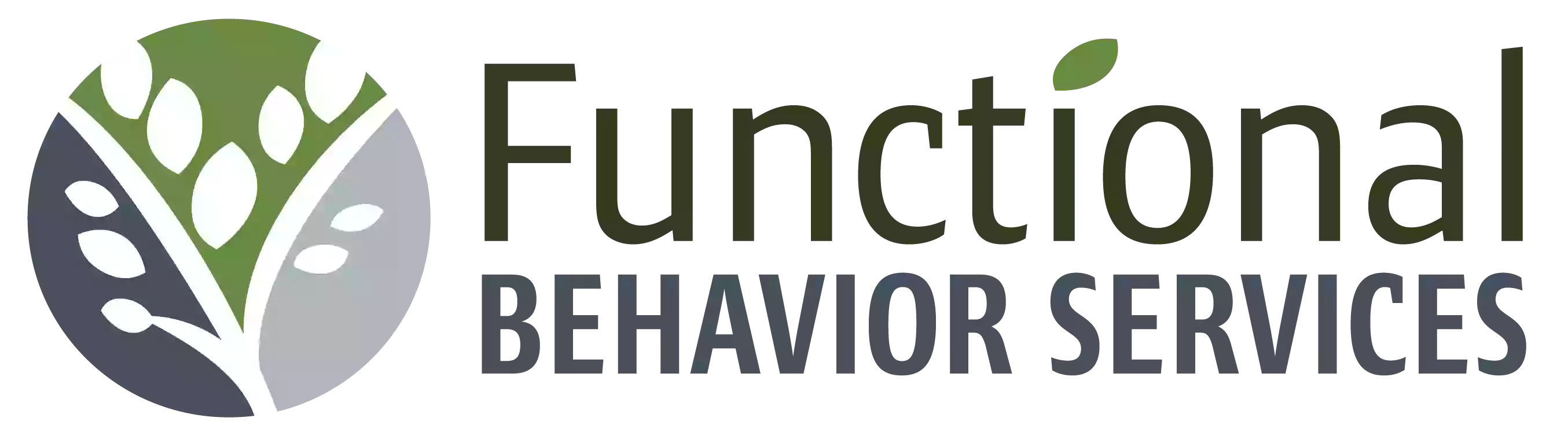 functional behavior services