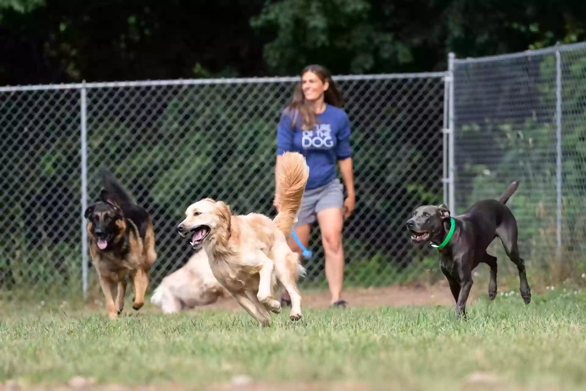 Nature of the Dog -Boarding & Daycare Facility