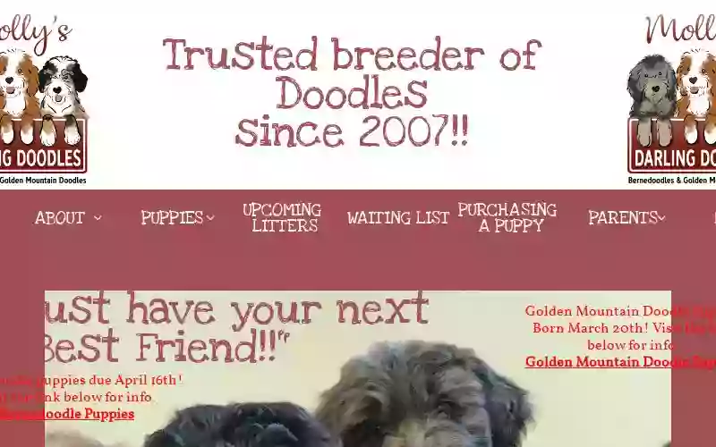 Molly's darling doodles and poodles