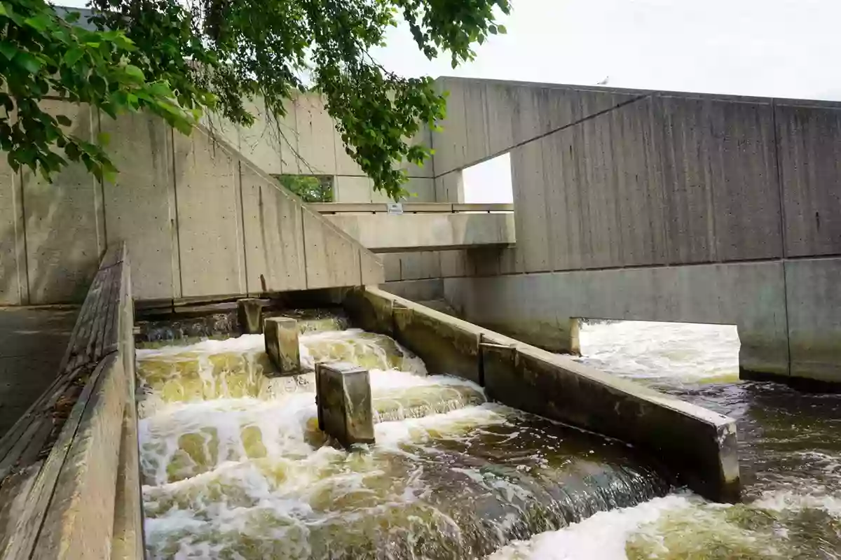 Fish Ladder Park