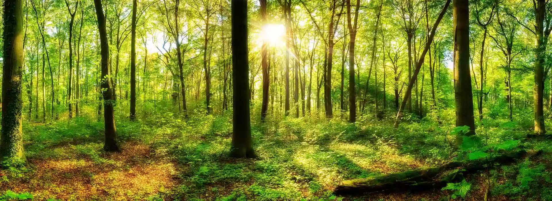 Nara Nature Park