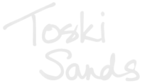 Toski-Sands Party Store