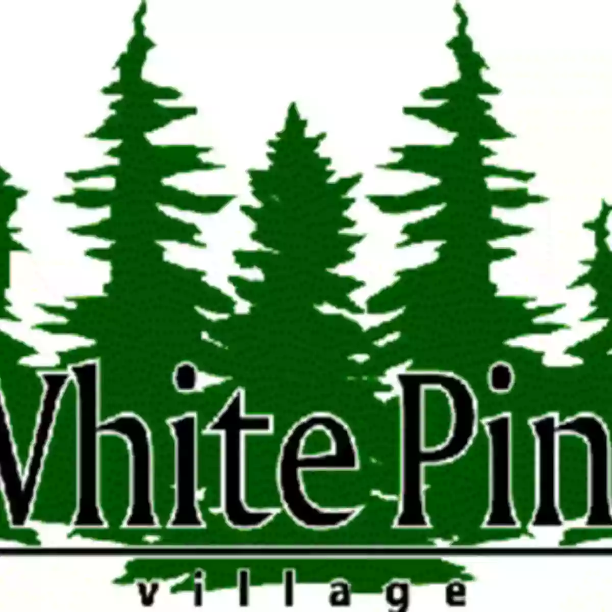 White Pine Village