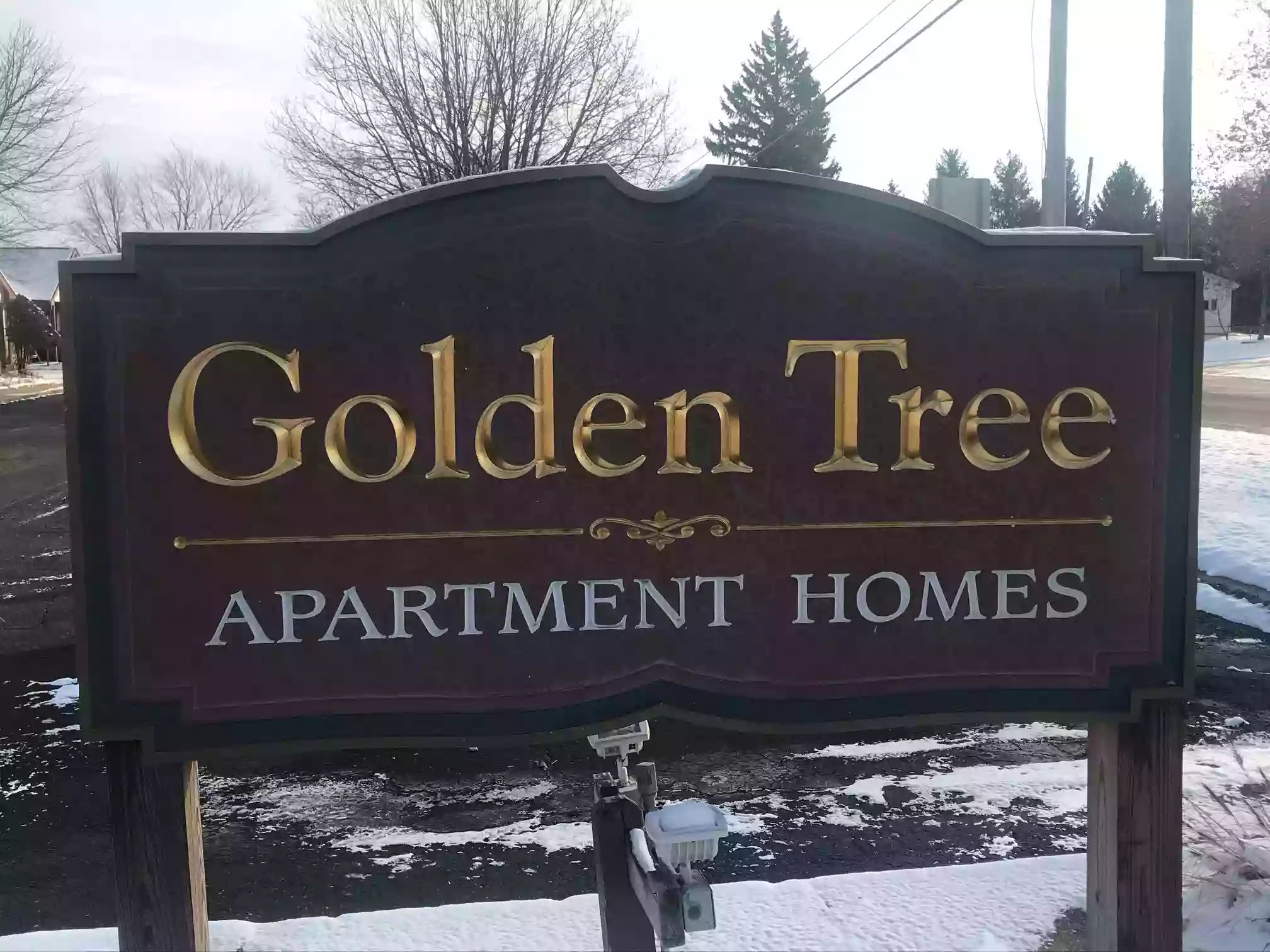 Goldentree Apartments