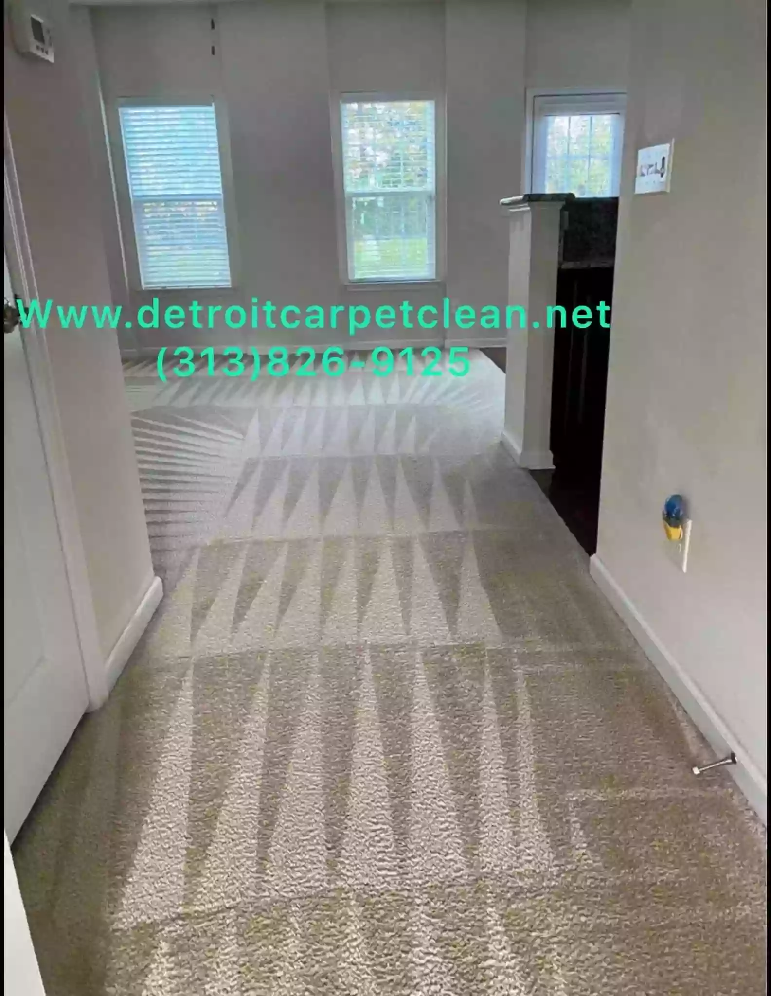 Walker's Steam Carpet And Upholstery Cleaning INC