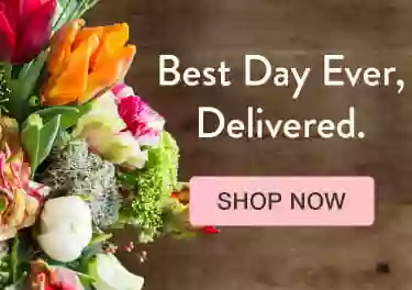 Everything Special Florist