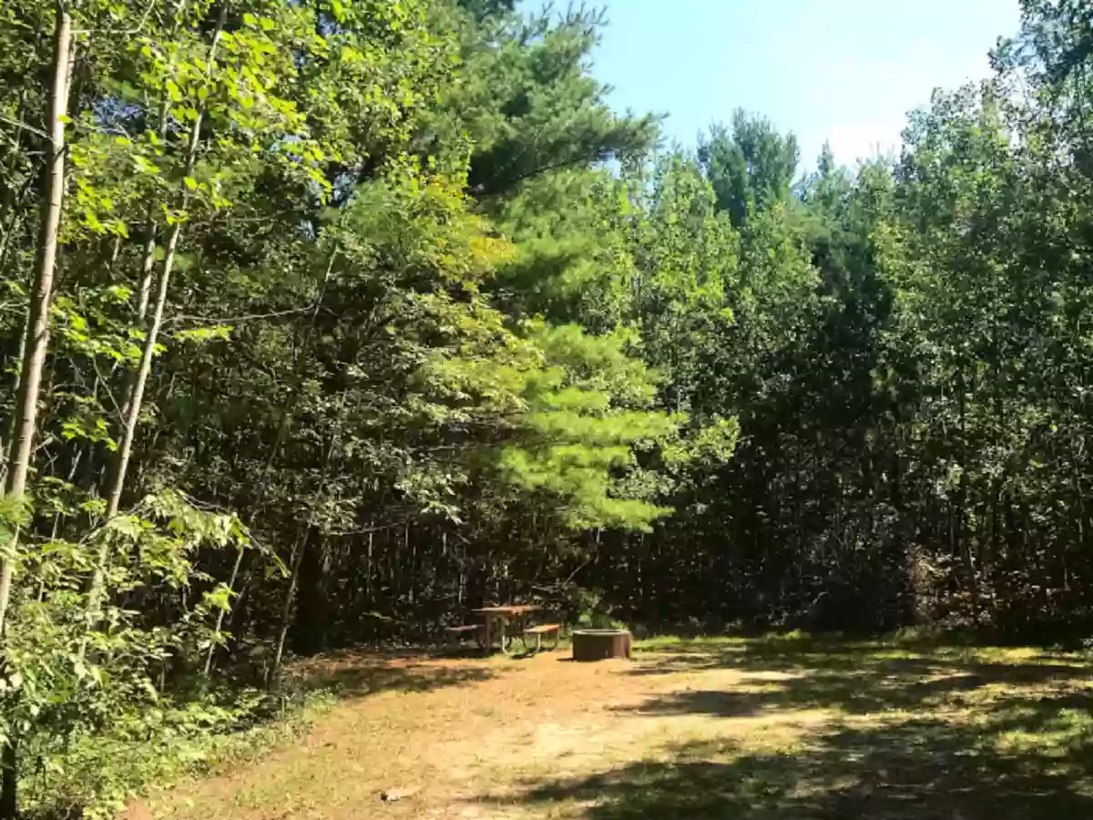 Shoepac Lake State Forest Campground