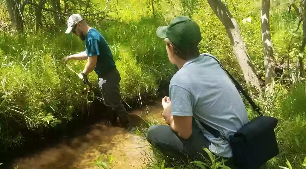 Teichner Preserve: The Leelanau Conservancy