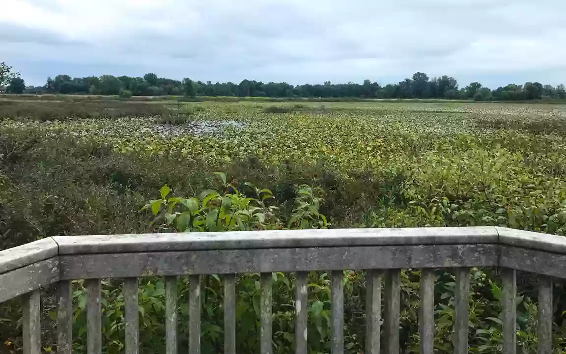 Topinabee Lake Preserve