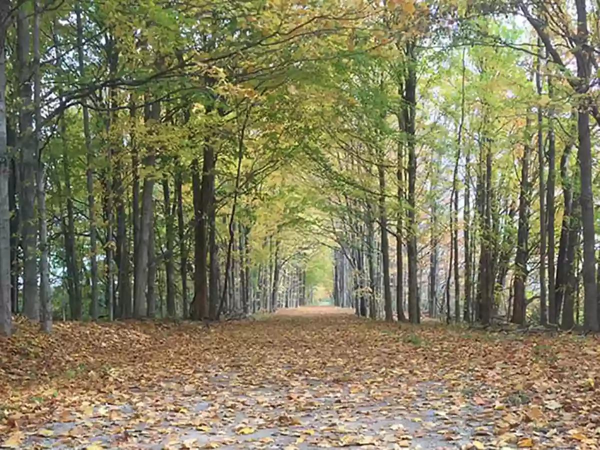 Kal-Haven Trailhead