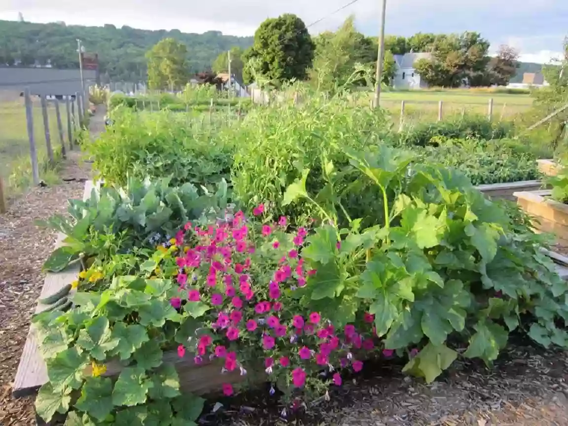 Pewabic Street Community Garden