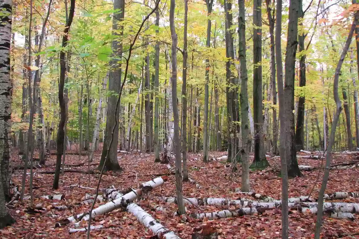 Lake Breeze Nature Preserve