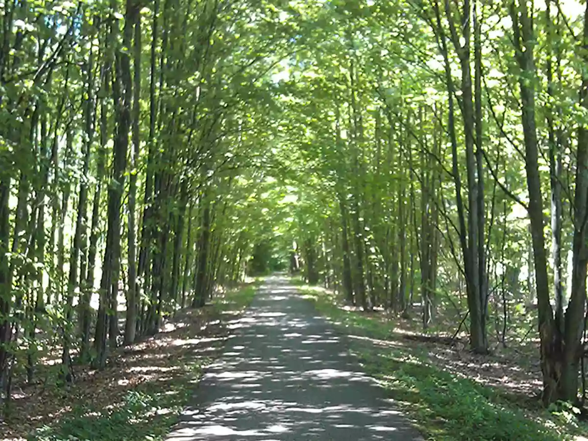 William Field Memorial Hart-Montague Trail State Park