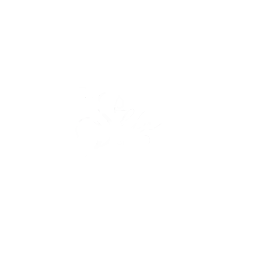 The Skin Studio LLC