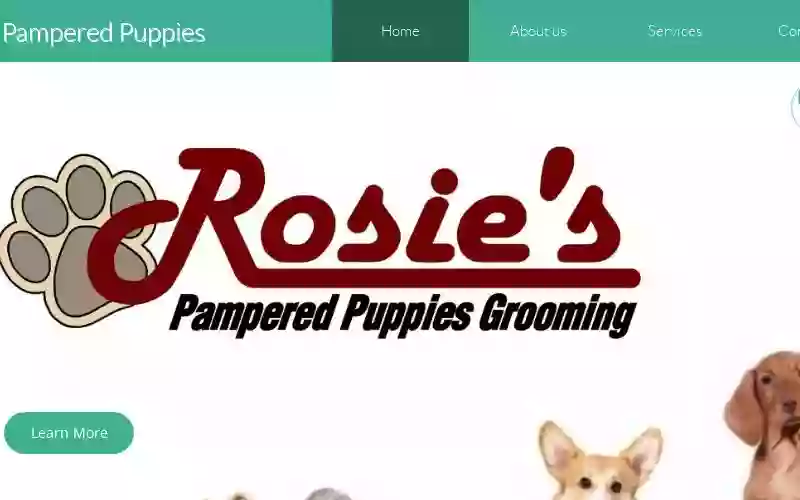 Rosie's Pampered Puppies Grooming