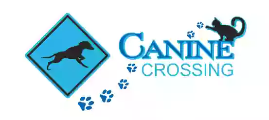 Canine Crossing