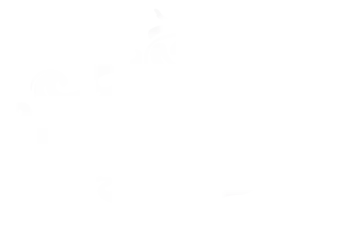 Hideaway Outlet