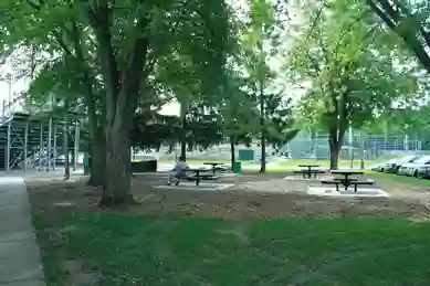 Alimagnet Dog Park