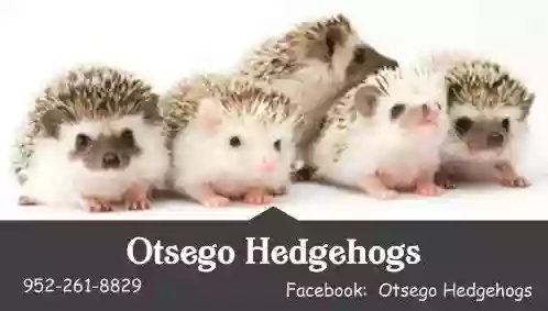 Otsego Hedgehogs