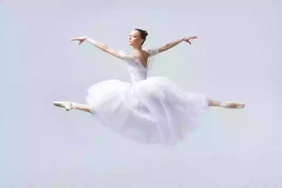 North Ballet Academy