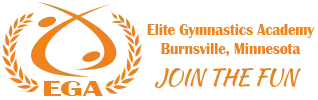 Elite Gymnastics Academy, Burnsville MN