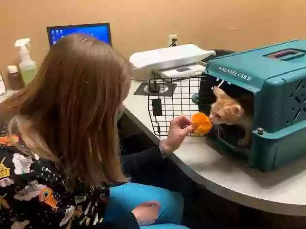 Cats Preferred Veterinary Hospital