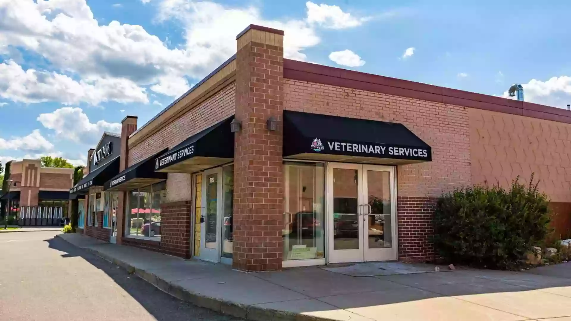 Cityscape Vets On Excelsior