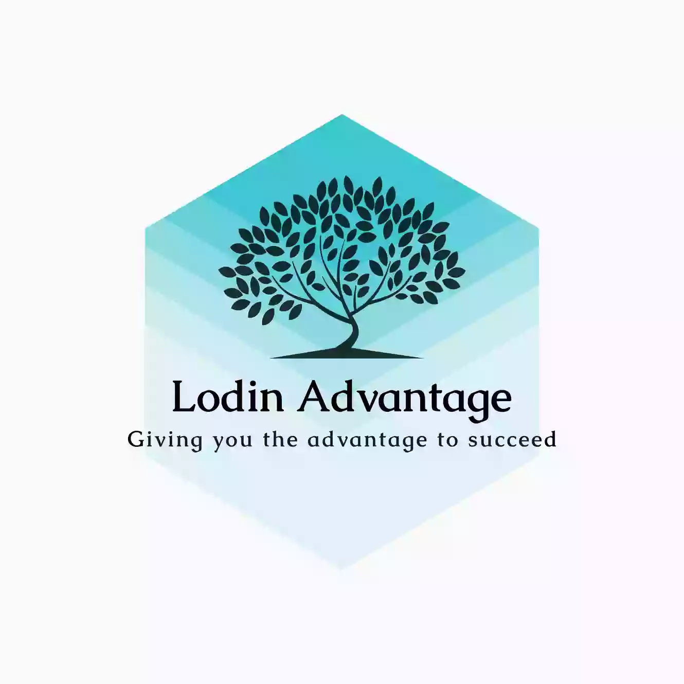 Lodin Advantage LLC