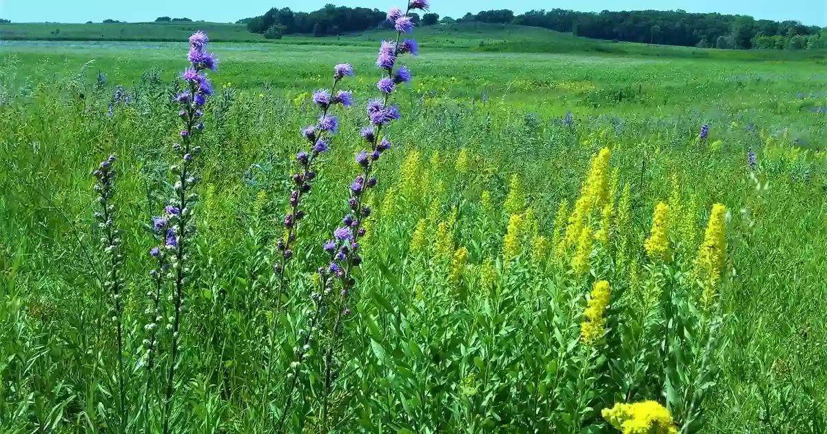 Touch The Sky Prairie Unit National Wildlife Refuge