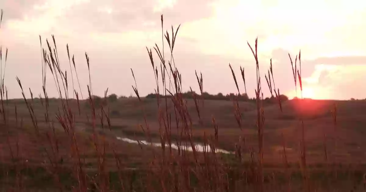 Windom Wetland Management District