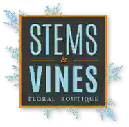 Stems & Vines Floral Boutique - Burnsville