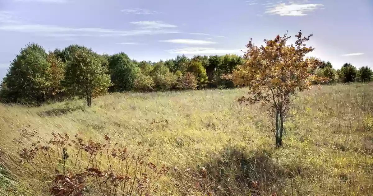 Sherburne National Wildlife Refuge