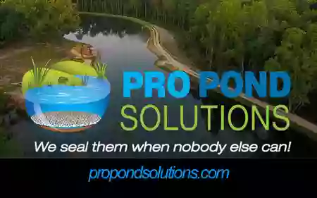 Pro Pond Solutions