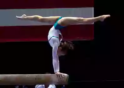 Intrepid Gymnastics