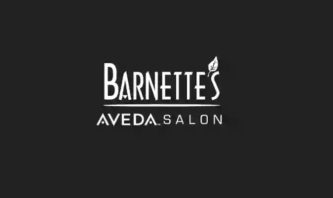 Barnette's Salon