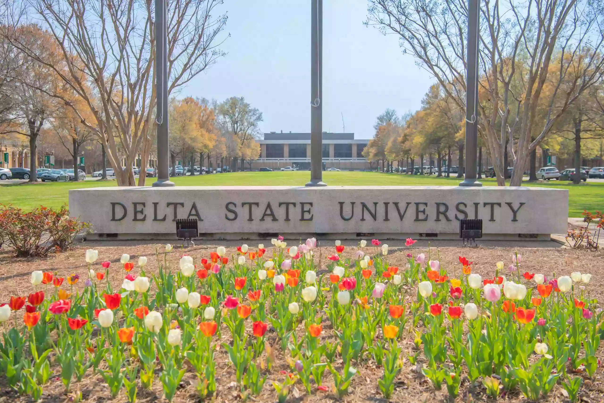 Delta State University Commercial Aviation