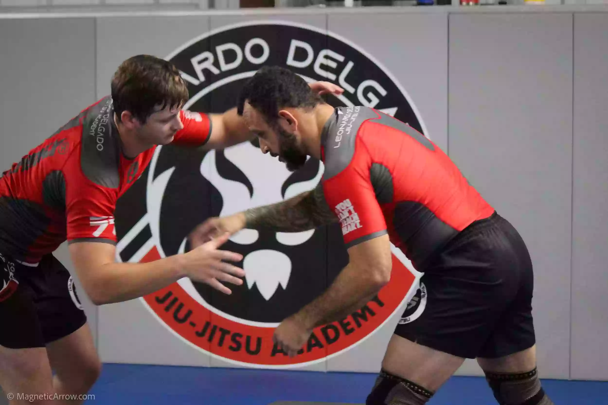 Leonardo Delgado Jiu-Jitsu Academy