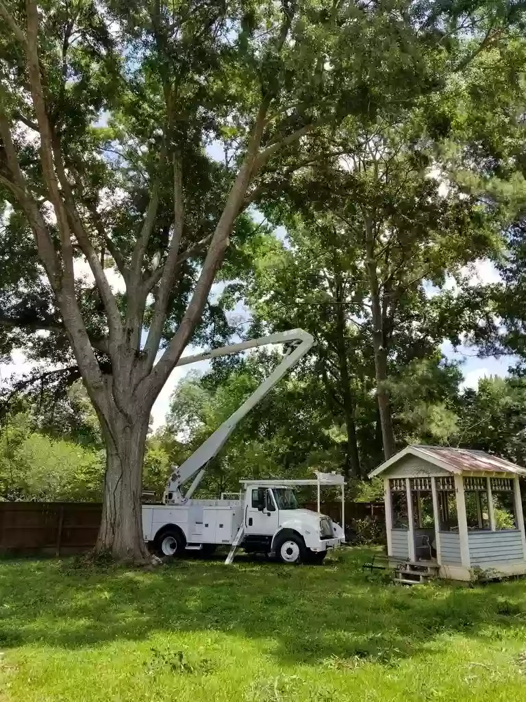 Allied Tree Company