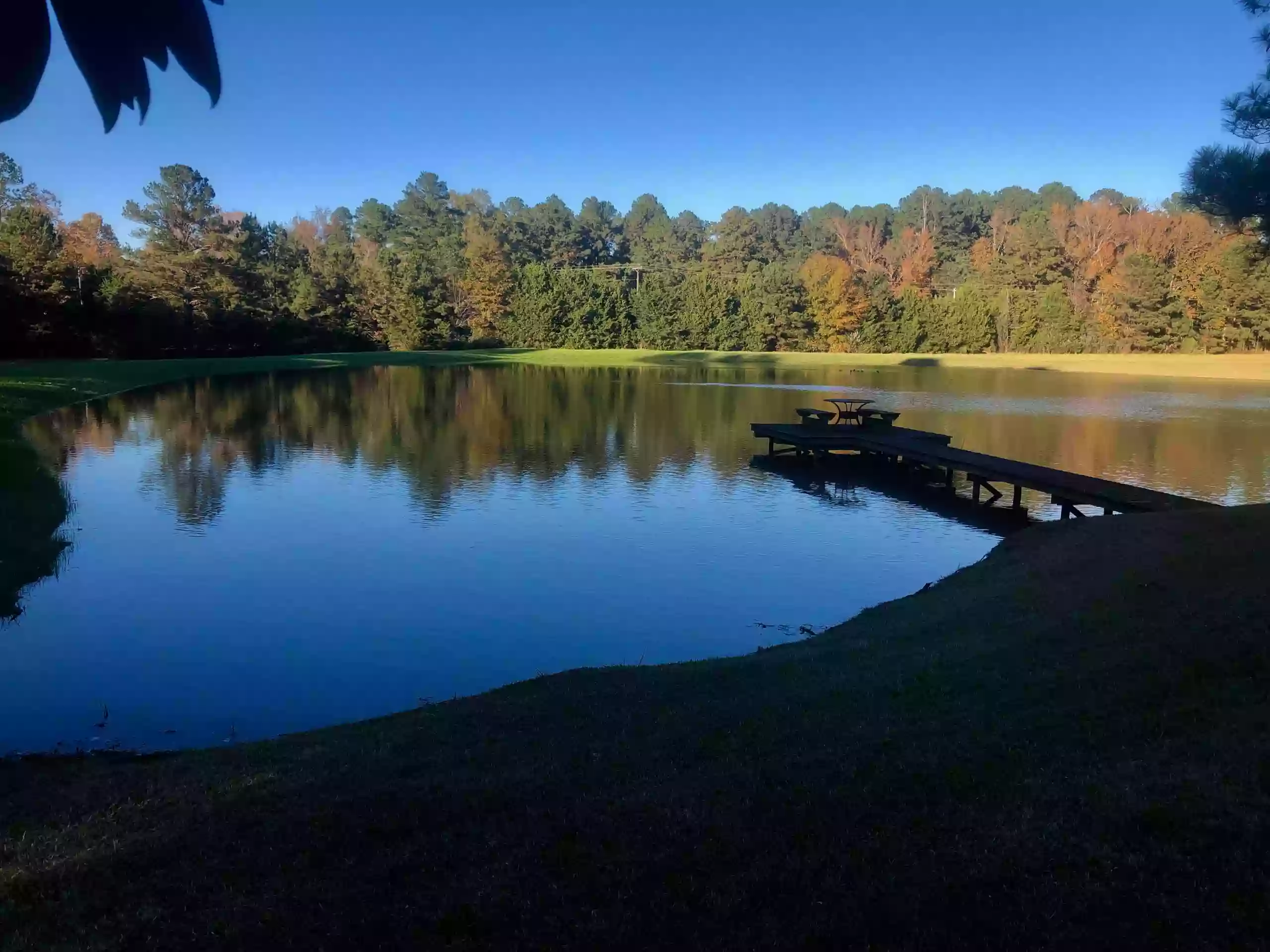 Pond Boss Excavation