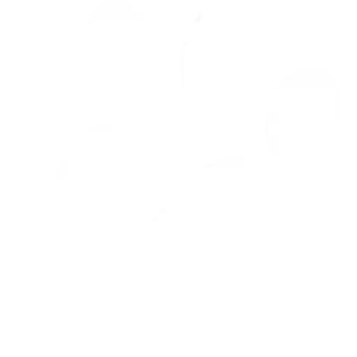 Paws to Remember Pet Loss Services