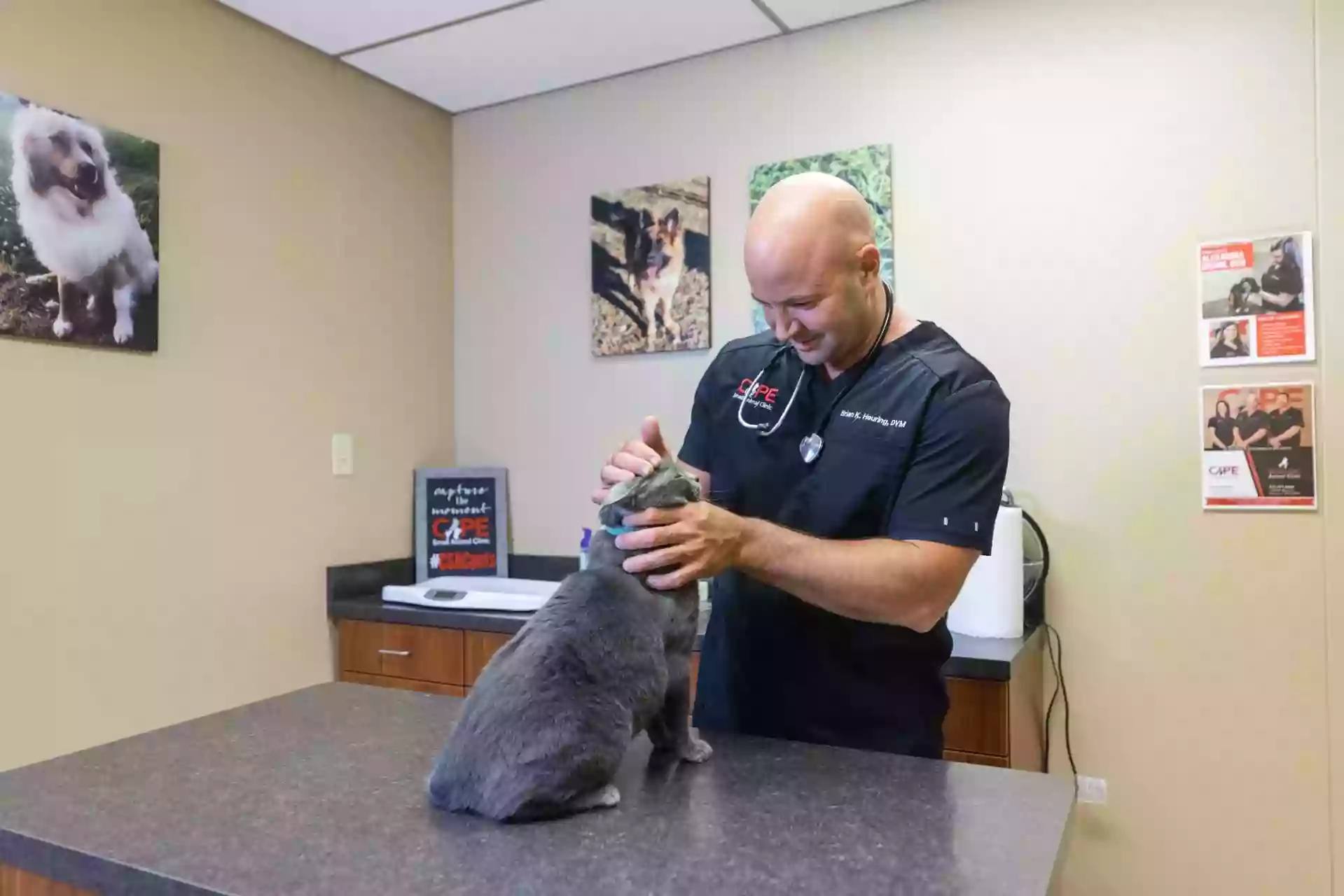 Bootheel Animal Clinic