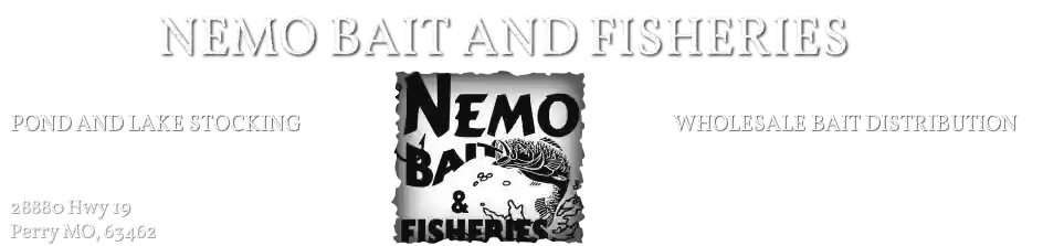 Nemo Bait & Fisheries