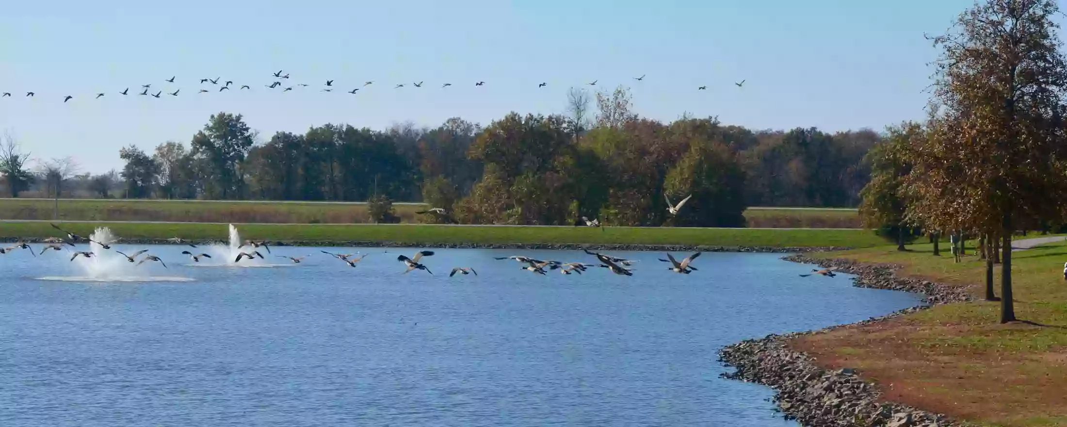 The Aviary Recovery Center