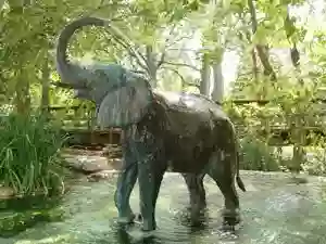 Baby Elephant Fountain and Sculpture