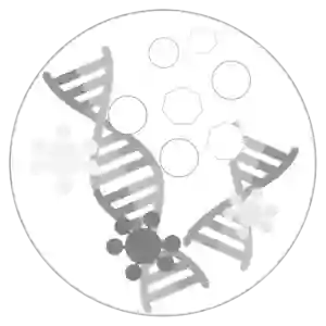 Molecular Microbiology and Microbial Pathogenesis Program