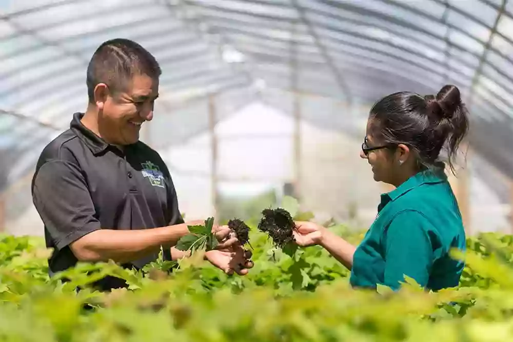 Forrest Keeling Nursery