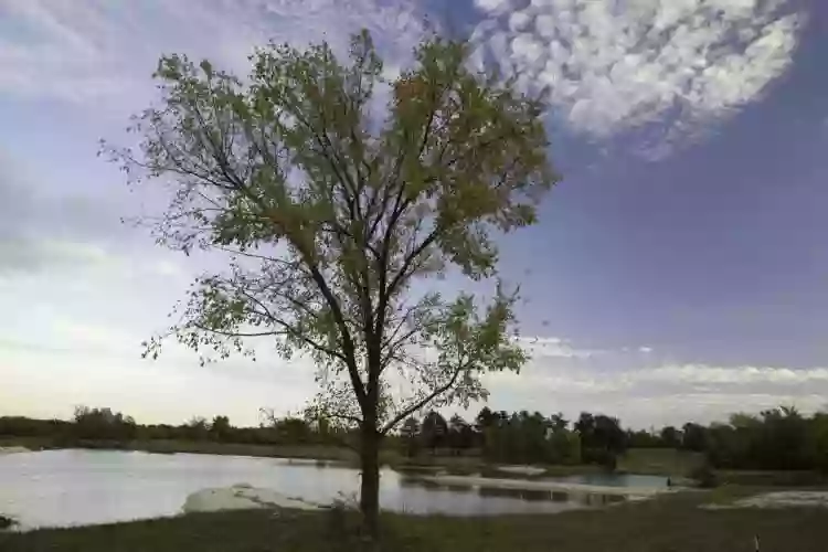 August A. Busch. Memorial Conservation Area