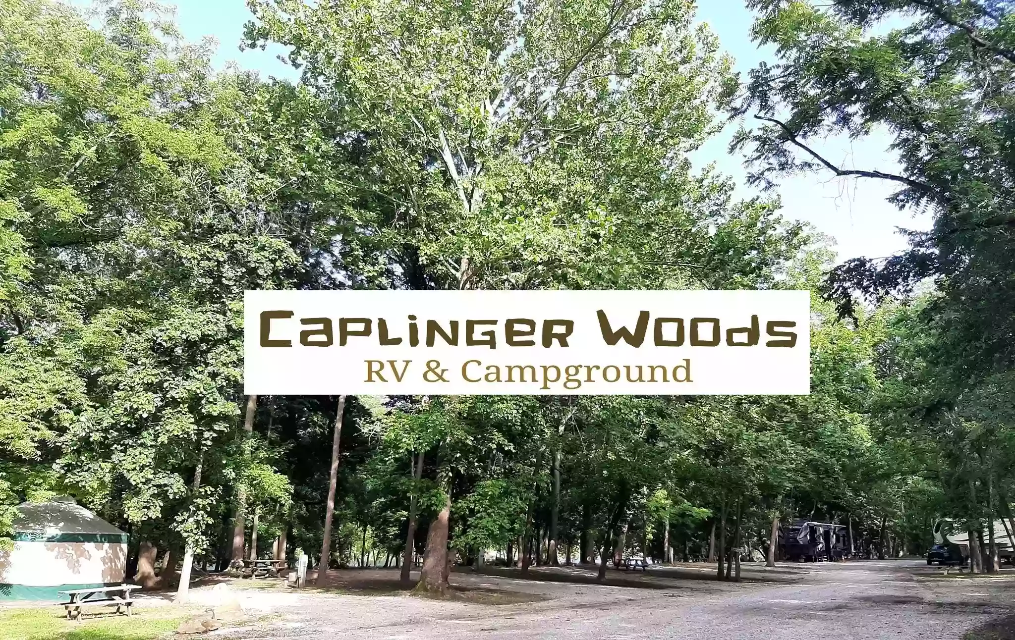 Caplinger Woods